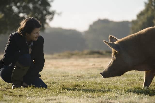 The Playhouse Portrush will screen 2023 documentary Wilding on Thursday 20th February. The inspiring tale charts the rewilding efforts of a young couple that bets on nature for the future of their failing, four-hundred-year-old estate. CREDIT NI SCIENCE FESTIVAL