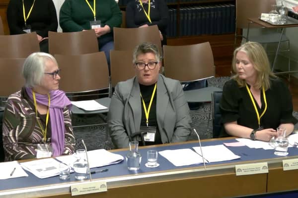Members of the Women’s Rights Network Northern Ireland at Stormont.