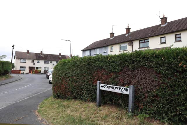 Woodview Park in Tandragee. Picture: Press Eye