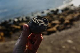 There are some great spots in Northern Ireland where you can go fossil hunting. Picture: Phil Hearing on Unsplash