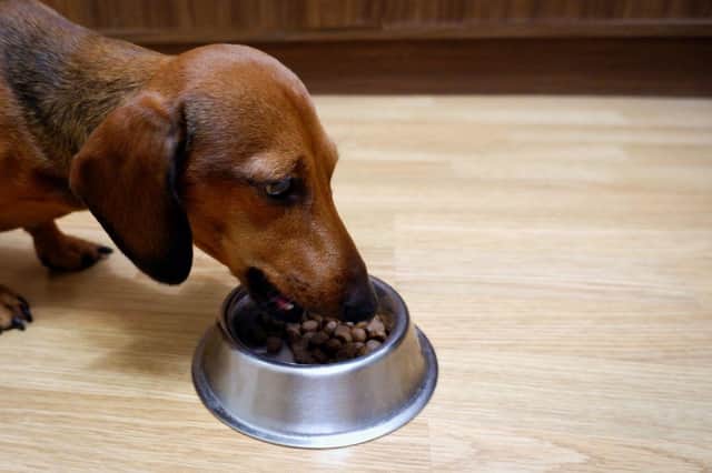 Premium dog food is less than half price thanks to Amazon’s latest sale event