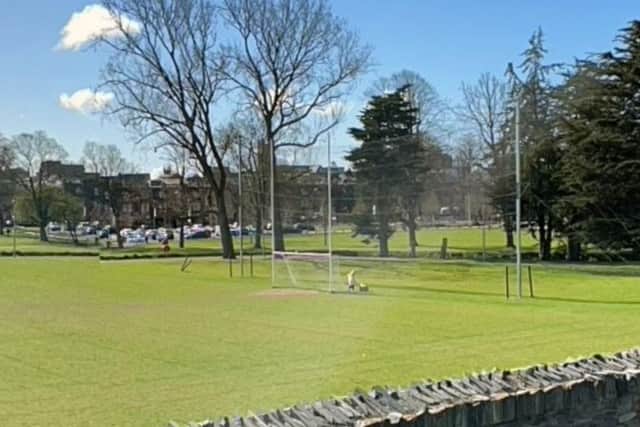 The football pitch at the People's Park in Portadown. Credit: Google