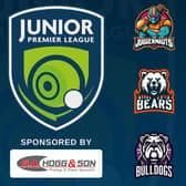 The teams for the inaugural Junior Premier League