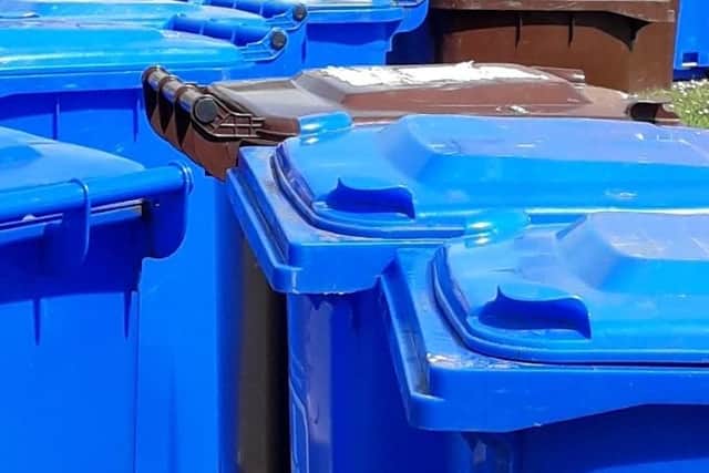 Currently, households in the Antrim area have a 240 litre black bin and a blue bin of the same size. Pic: Local Democracy Reporting Service