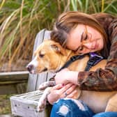 Don’t panic if your dog has a sseizure, but don’t go near your dog’s mouth - they may accidentally bite (photo: Adobe)