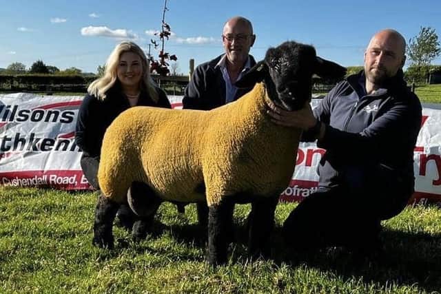 North Antrim East L'Derry Suffolk Breeders Club support Olive Branch