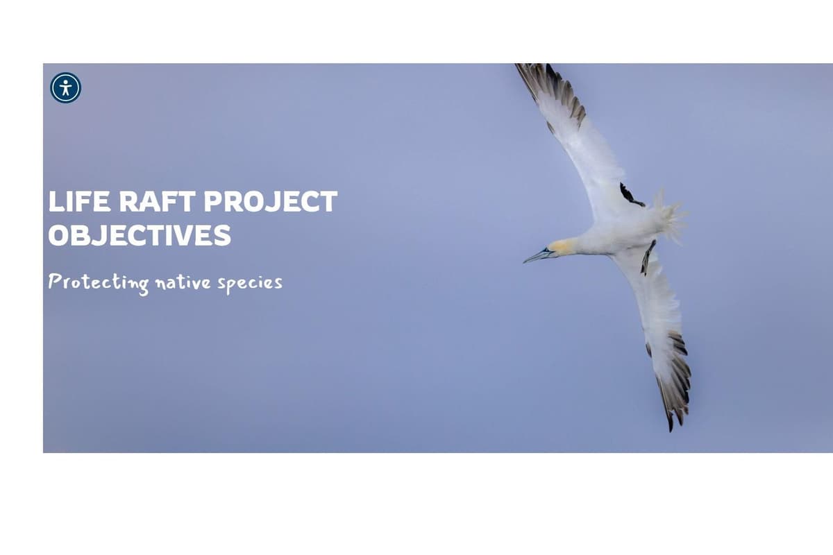 Life Raft Rathlin Causeway Coast & Glens Council welcomes £174k funding for Rathlin Life ...