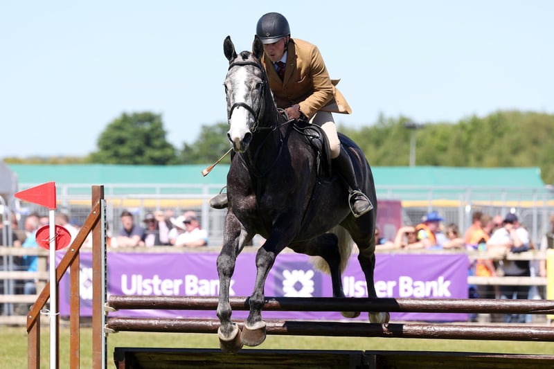 Composure in the show jumping arena.