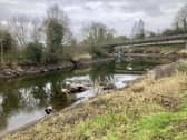 A car in the River Lagan is just one piece of debris that needs cleaned up according to Lisburn councillors. Pic credit: LDRS