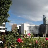 Union calls for urgent action as 735 Ulster University staff apply for 450 voluntary redundancy places