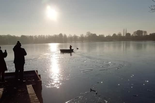 Lurgan Park Ranger spades through frozen lake to rescue a swan trapped in the ice.