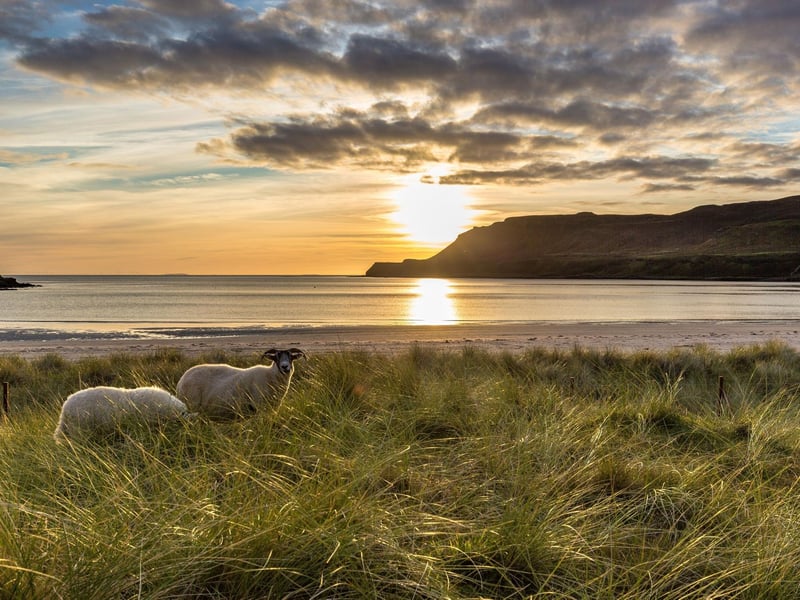 This bay is an expanse of white shell sand with a meadow where small flowers grow in the summer. It can be found on the Isle of Mull in the Inner Hebrides.