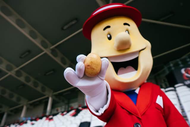 Mr Tayto is a big hit with visitors to Tayto Castle in Tandragee. Picture: Tayto