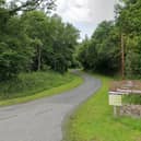 Police made a number of arrests following an incident at Drumcairn Forest, near Stewartstown, on Sunday evening | Google