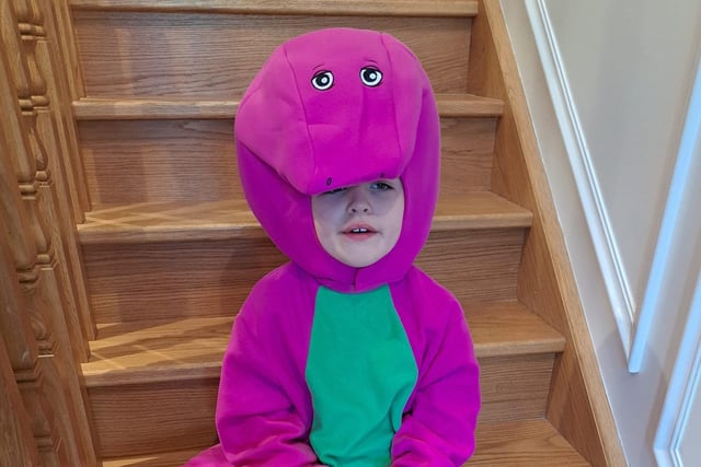 Eight year old Regan Farrell from Donard School Banbridge as Barney the Dinosaur.
