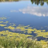 Armagh City, Banbridge and Craigavon Borough Council is encouraging users of council owned lakes and waterways to be mindful of the signs of blue-green algae and exercise precautionary measures.