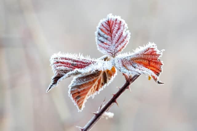 Diabetes UK Northern Ireland is offering advice to people living with diabetes this winter. Picture:  Cathy Holewinski on Unsplash