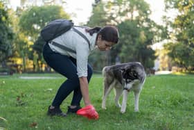 Woman picking dog poo in plastic bag