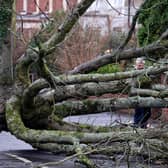 Around 101,000 customers are still without electricity after Friday's devastating storm which brought down trees and caused widespread damage. Picture: Jonathan Porter / PressEye