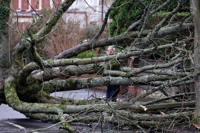 Around 101,000 customers are still without electricity after Friday's devastating storm which brought down trees and caused widespread damage. Picture: Jonathan Porter / PressEye