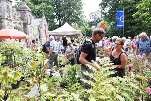 Gardening enthusiasts browse through some of the plants on sale at the show.