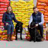 Feedwell Finance Director Vicky Dobbin and Managing Director Jamie Clegg, with their pets Luna and Calli.
