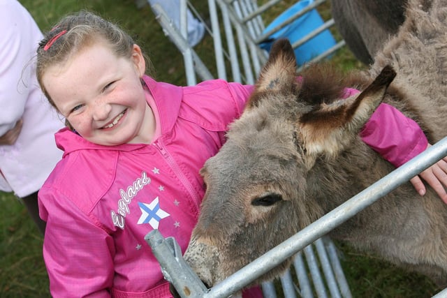 PET SHOW...Jessica Gibson pets a donkey during the Garvagh Clydesdale and Vintage Show in 2008