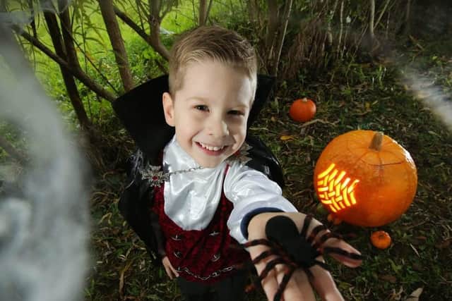 Spooky fun is promised at Shaftesbury Park on October 31.