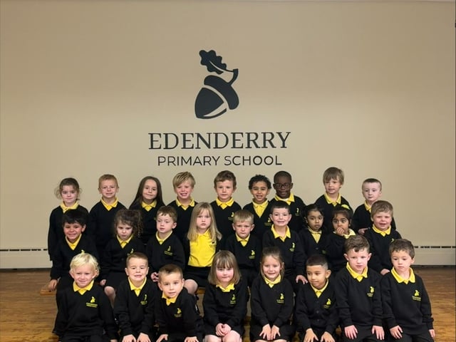 The Edenderry Primary School P1 class.