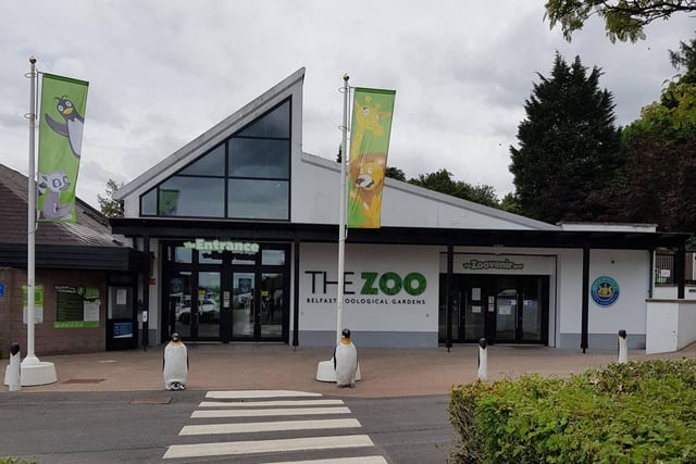 A number of Easter events will take place at Belfast Zoo over the coming days. A spokesperson for the Bellevue facility said: "On Sunday, March 31 there will be a bubble bike, glitter tattoos as well as the chance to meet the education team in our Zoo history hub. On Easter Monday and Tuesday there will be an Easter trail and walkabout characters. A shuttle bus will be operating from Valley Leisure Centre, 11am to 6pm. March 31 is also the first day of the zoo's summer opening hours, 10am to 6pm. Join us for this special event. Early booking is recommended via the zoo's website.