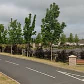 Kernan Cemetery, Portadown. Credit: Google