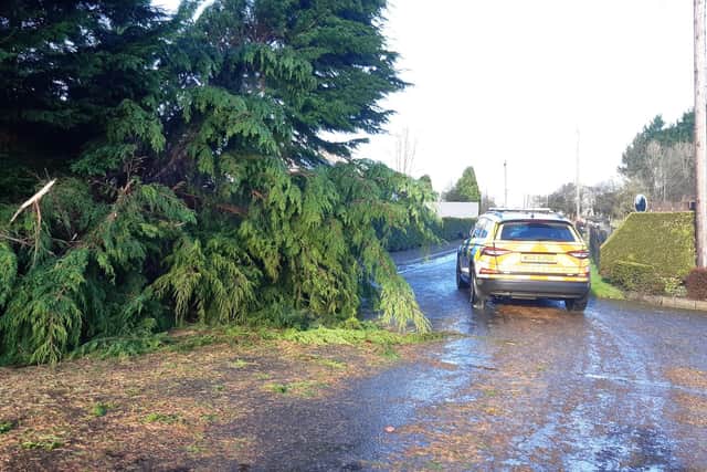 Many rural roads remain partially blocked by fallen trees and police are asking motoristst to exercise care. Credit: National World