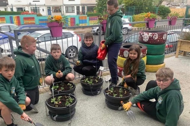 Pupils from St Johns Primary School make the finishing touches to their hanging baskets for display in Coleraine’s town centre. Credit Causeway Coast and Glens Borough Council