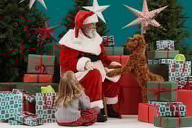 Christmas is in the air at Dobbies. Pic credit: Dobbies