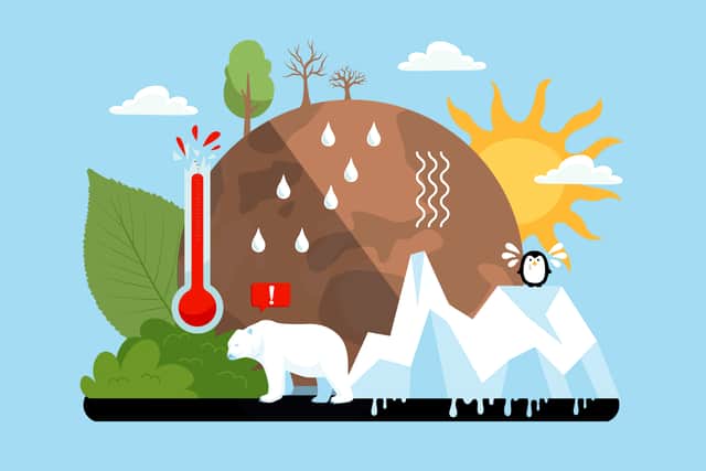 Causeway Coast and Glens Borough Council has approved the appointment of Climate Change Champion for the borough. CREDIT PIXABAY