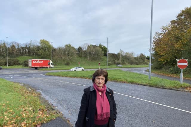 Diane Dodds MLA at the A1.