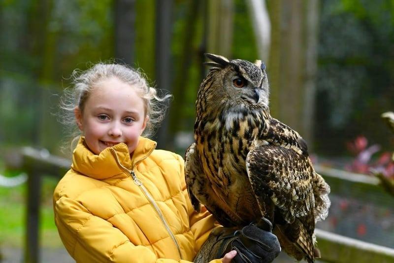Northern Ireland's premier owl, bird of prey and exotic animal conservation centre, World of Owls is based within the beautiful Randalstown Forest. The centre's other animal residents include mini-beasts, mammals, and reptiles.  For details on opening times and ticket prices, visit http://www.worldofowls.com/