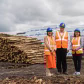Ann McGregor (Chief Executive, NI Chamber), Brian Murphy (Balcas) and Gillian McAuley (President, NI Chamber) during a recent visit to Balcas, Co Fermanagh.  Picture: Ronan McGrade