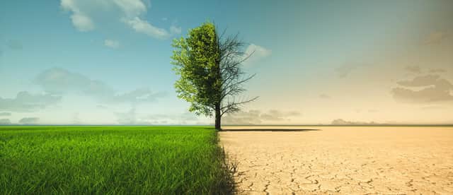 Climate change from drought to green growth. Photo: Adobe