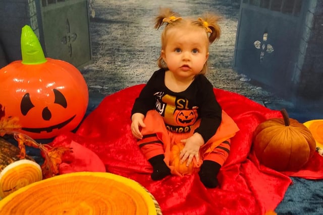 We love this pumpkin themed Halloween shoot!