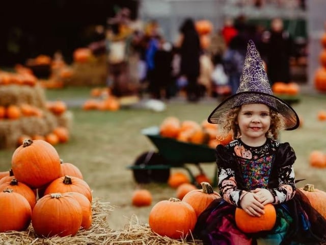 There's lots of Halloween fun at the Ark Open Farm Pumpkin Patch, Newtownards, Co. Down, until October 31. Enjoy their Halloween Mini Show as witches gather around the cauldron for bubbling brews, spellcasting and a touch of Halloween magic. You'll also pick and carve your perfect pumpkin, make your own slime, toast marshmallows, explore their Halloween Trail and Fairytale Forest, and meet some creepy creatures in their new Animal Encounters Barn. Check out Ark Open Farm website for more details.