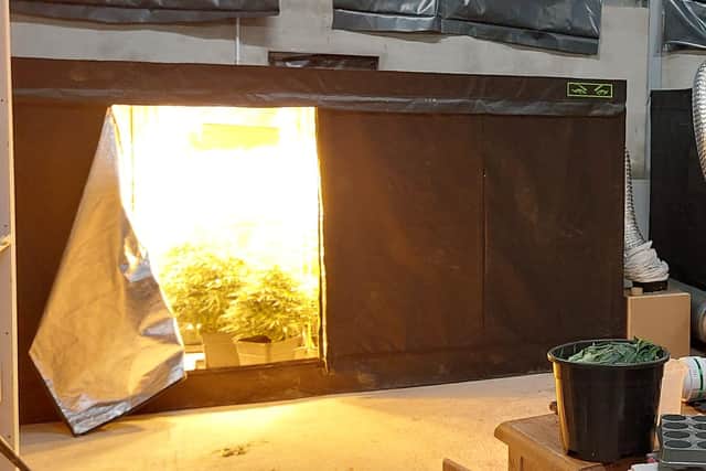 The suspected cannabis factory in Scarva.