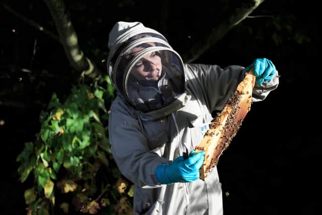 Emma Thompson from Bee Haven Bodycare turned her passion for beekeeping into a thriving business