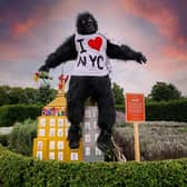 King Kong Scarecrow, made by artist Sue Cathcart alongside pupils from Belfast Royal Academy