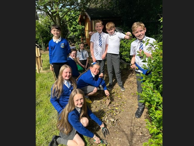 Pupils from St Mary's Primary School, Derrytransa were getting a helping hand from Portadown Wellness Centre to plan and develop their very own school garden.