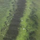 Council is urging the public to be cautious when visiting beaches and rivers in the Causeway Coast and Glens area, due to the potential presence of blue-green algae. Credit NI World