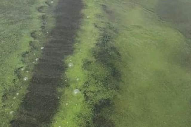 Council is urging the public to be cautious when visiting beaches and rivers in the Causeway Coast and Glens area, due to the potential presence of blue-green algae. Credit NI World