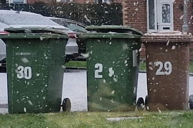 Some people in the Armagh, Banbridge and Craigavon areas have not had bins emptied since before Christmas.
