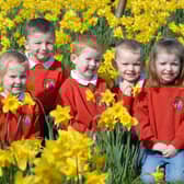 Enjoying a sunny spring day in 2009 were Sophie, Jamie, Jack, Karl and Amy from Hansel & Gretel Pre School in Glynn. LT14-382-PR
