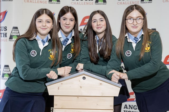 Pictured taking part in the 2023 ABP Angus Youth Challenge Exhibition for a place in the final of the competition is the team from Cookstown High School: Laura-Loiuse McCrea, Taylor Hessin, Lily Creighten and Connie Mei McGarvey.